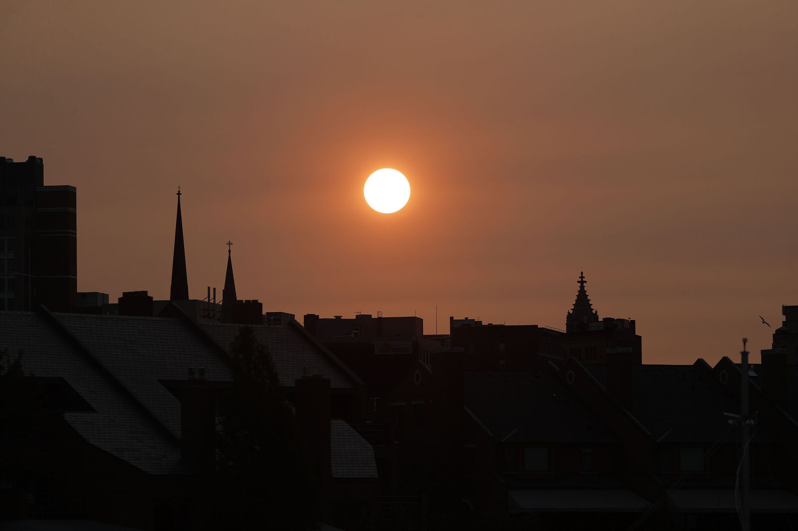 Hazy red sunrise